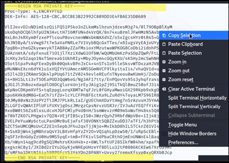 Encrypted RSA private key in terminal